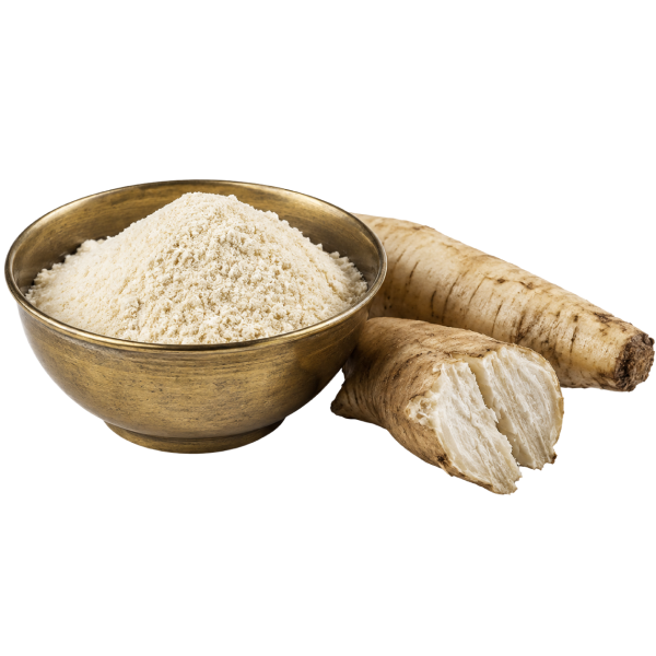 Prebiotic Fiber